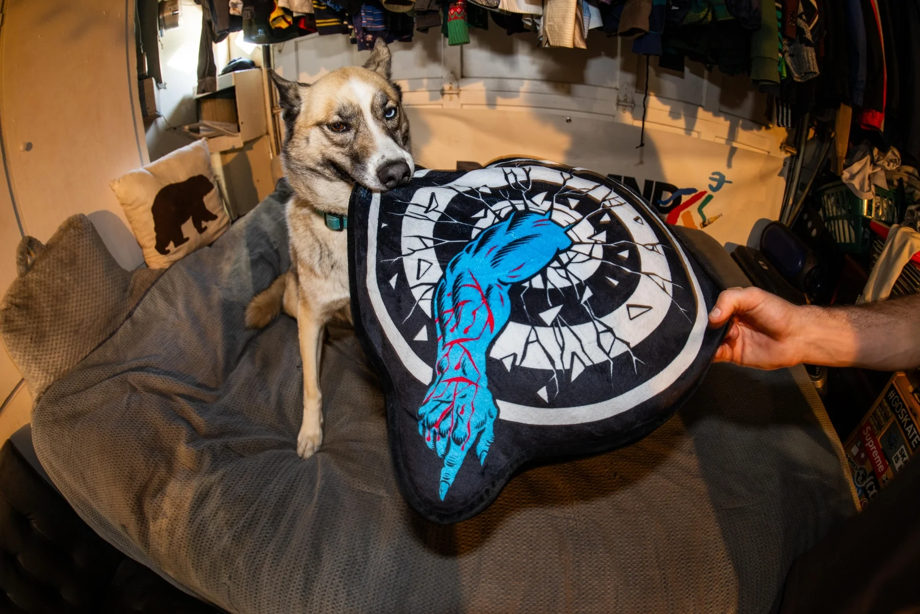 Roskopp Target Santa Cruz Pillow - Image 3