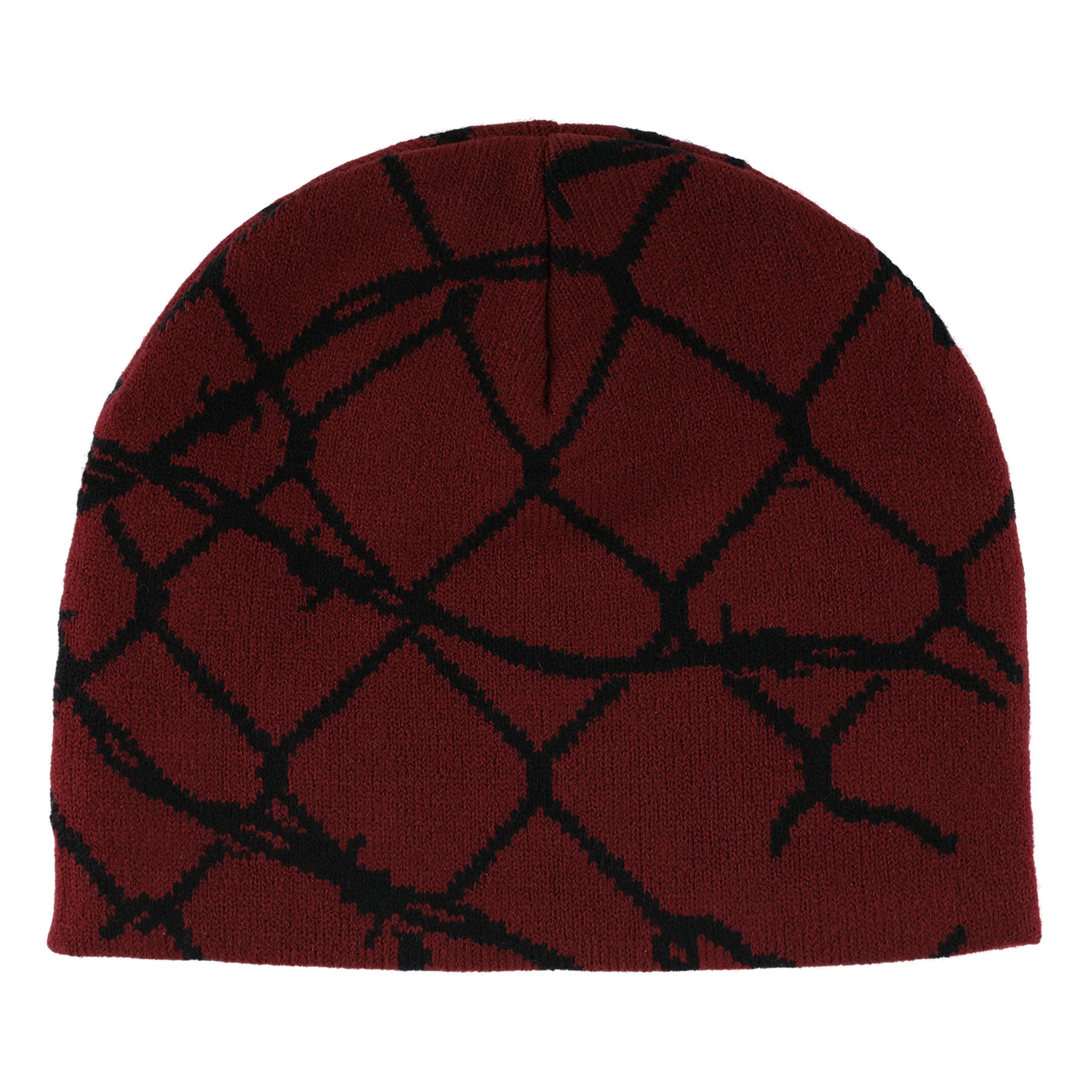 Spot Chain Santa Cruz Skull Beanie - Image 4